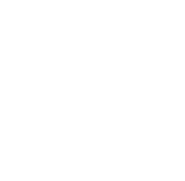 icon16